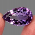 a66315934d1a99beeba7f9dd8cf9