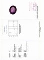 Image (731).jpg