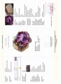 Image (839).jpg
