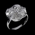 55d7265954a2b76353dc02c7e11591a5